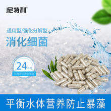 NETLEA 尼特利 鱼缸硝化细菌胶囊 10盒