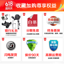 喜德盛RS360公路自行车禧玛诺16速桶轴铝合金全隐藏式车架油碟rs 黑/银| 16速 510mm（适合身高175-185mm）
