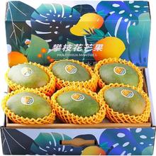 太卿 商超精选 凯特芒 果王 （单果600g+）4.5斤