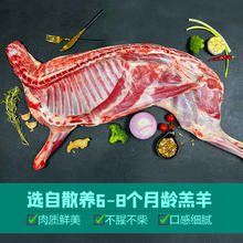 限移动端：羊小柒 宁夏滩羊肉 生鲜分割半只羊10斤/礼盒装