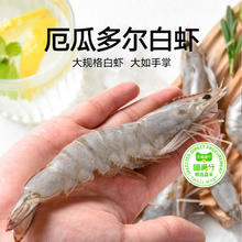 喵满分 山东 南美白对虾 1650g/盒 19-22cm