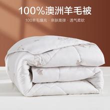 BEYOND 博洋 100%羊毛被澳洲进口被子保暖冬被芯四季通用春秋被薄被