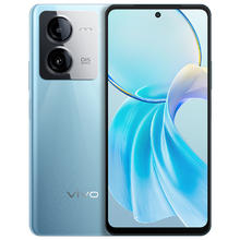 有券的上：vivo Y100t 5G手机 12GB+256GB