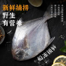 88VIP会员：遇上鲜 中国大陆 银鲳鱼 500g 冷冻