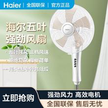 百亿补贴：Haier 海尔 落地电风扇家用立式轻音低躁五叶三挡强风办公室宿舍XLJ4001A