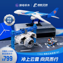 【中秋送礼】拼奇积木南航红标波音787飞机模型积木拼装玩具摆件