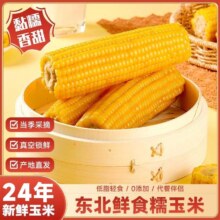 铝箔包装黄糯玉米8根*220g