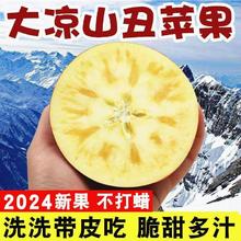 淘轩园 顺丰 四川大凉山 特大果 丑苹果冰糖心 4.5斤装 单果80-90mm