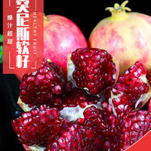 田园东方突尼斯软籽石榴 新鲜应季水果净重 二级4.5斤（350-450g）4-7个