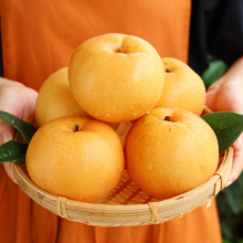 淘宝买菜农场直发 砀山秋月梨 5斤