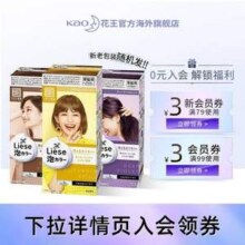 Kao 花王 Liese 莉婕 植物泡沫染发剂 108ml