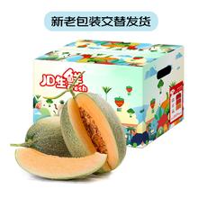 Mr.Seafood 京鲜生 甘肃西州蜜哈密瓜 2粒装 单果2斤起 净重4.5斤起