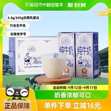 乍甸 云南乍甸 牛奶小镇纯牛奶 250g*24盒 学生营养早餐搭档 3.4g/100g优质乳蛋白