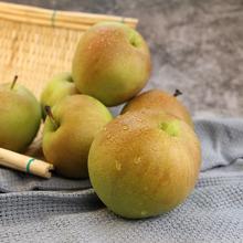 挑枣儿 鲜甜多汁玉露香梨4.5斤