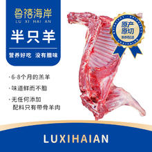 鲁禧海岸 内蒙羔羊肉 生鲜羊肉炖煮火锅食材年货礼盒 鲜切原切新鲜羊肉 半只羊切块10斤装