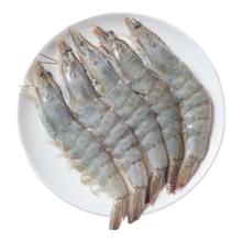 plus会员、京东百亿补贴：鲜京采 原装进口厄瓜多尔白虾 1.65kg 特大号20-30只/kg 33-50只/盒
