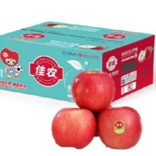 8号0点:佳农 烟台红富士苹果 5kg装 单果重190g以上