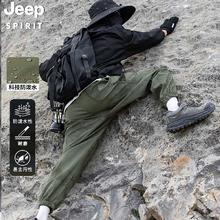 限移动端、京东百亿补贴：Jeep 吉普 冲锋裤户外登山裤攀岩裤简约时尚百搭工装裤三防休闲裤 迷彩森林绿 2XL