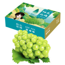 京东百亿补贴:壹棵弘芯 正宗阳光玫瑰葡萄整箱 精选净重 2.5斤 单果约8-12g