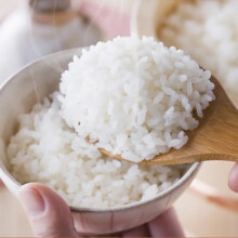 京东百亿补贴，plus会员:盖亚农场东北大米 云露香米2.5kg