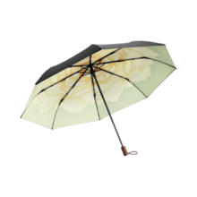 蕉下（beneunder）太阳伞防晒夏季防紫外线遮阳伞晴雨两用伞双层防晒伞女士大花伞 茉白