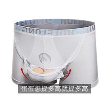 Holelong 活力龙 精索阴囊托带内裤男静脉提睾拖阴囊托蛋防曲张枪弹分离曲宝平角裤 白色 M