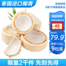 Mr.Seafood 京鲜生 泰国香水椰青单果750g起新鲜水果9个装送吸管开椰器源头直发 泰国椰青9粒装