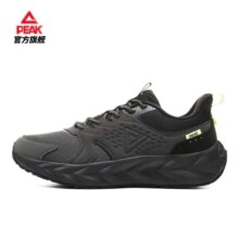 PEAK 匹克 态极 男款跑步鞋 10106907043073