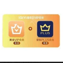 爱奇艺黄金VIP会员年卡加赠京东PLUS会员年卡 视频爱奇艺会员 填写充值手机号码需一致