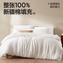 YANXUAN 网易严选 100%新疆棉花被 秋冬被 220*240cm