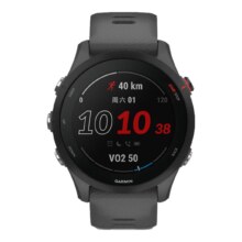 GARMIN 佳明 Forerunner255 智能运动手表 神秘灰