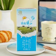 认养 悠纯 认养牧场 全脂纯牛奶 1L*2盒