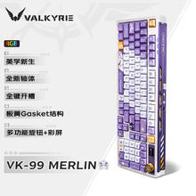 VALKYRIE 瓦尔基里 VK99-Merlin 客制化机 2.4G// VK99-Merlin