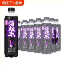 依能 嗨起来 蓝莓味汽水500mL*15瓶