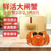 莲花蟹农 鲜活大闸蟹全母蟹2.0-2.3两8只去绳足重死蟹包赔螃蟹中秋礼盒