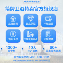 箭牌（ARROW） 花洒套装淋雨器洗浴洗澡淋浴升降四功能出水喷枪暗装莲蓬头 【月光白】大置物台 |AE34142ZWP