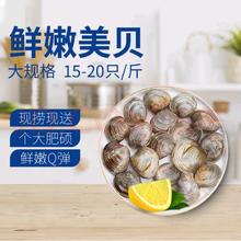 玖瑞昇 鲜活大美贝 5斤 每斤15-20粒
