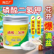磷酸二氢钾肥料花卉专用养花叶面肥农用促花促果水溶肥通用型花肥