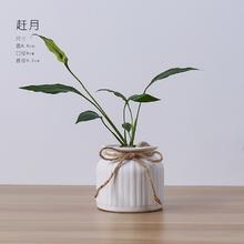 喵满分 白色花瓶 陶瓷花瓶 500ml 巧克力色