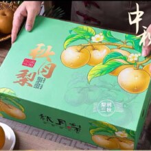 京东百亿补贴、plus会员:晟容果蔬 山东正宗秋月梨礼盒 精选净重4.5斤【单果260g+】精品老树果