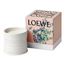 【官方正品】LOEWE罗意威牛至香氛香薰蜡烛 植物小众 居家 官方