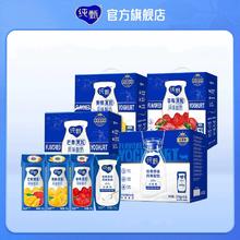 蒙牛纯甄黄桃果粒酸奶200g*2箱20盒