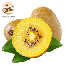 静益乐源 黄心猕猴桃 10枚特大果单果110-130g