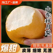 正宗山东秋月梨大果新鲜水果当季新鲜9斤整箱脆甜新鲜梨当季现摘