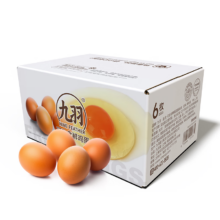 京东试用：九羽 可生食鲜鸡蛋（288克/6枚）