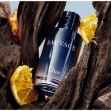Plus:迪奥（Dior）旷野男士淡香水 100ml 木质香调 淡香水EDT