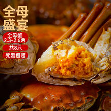 FANGDIYUAN 芳迪源 大闸蟹 全母2.3-2.6两 8只装