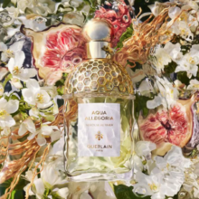 Guerlain 娇兰 花草水语系列 淡香水（橙花岩兰 ）EDT 75ml
