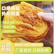 热销速食椰蓉面包营养 代餐零食整箱早餐奶香即食便宜超软休闲