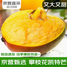 庾丰 四川攀枝花凯特芒新鲜现摘芒果孕妇水果 热带整箱当季中秋送礼团 5斤优选装 净果4.5斤